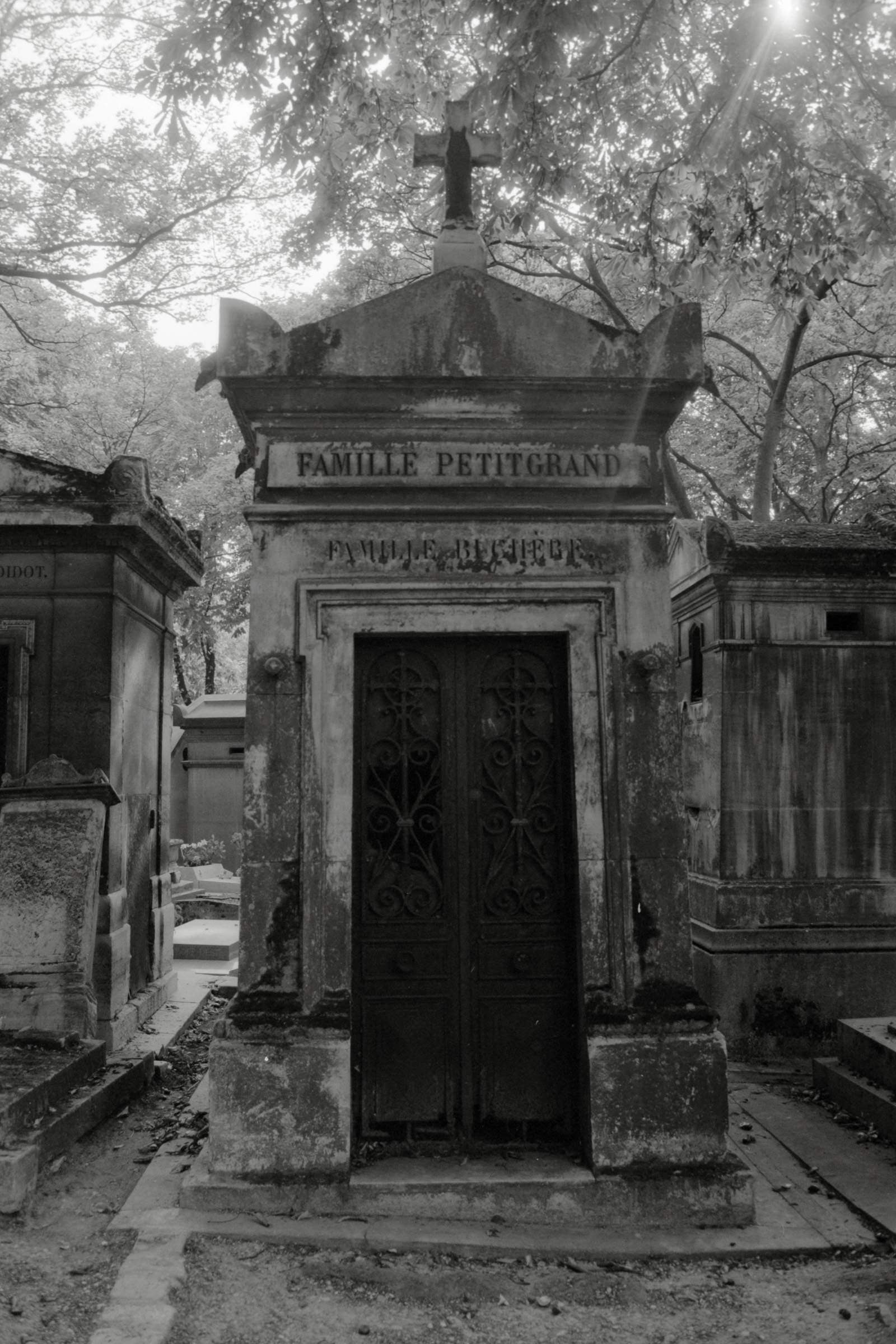 AHP F1990 09 002 sc250506 img30 NLP